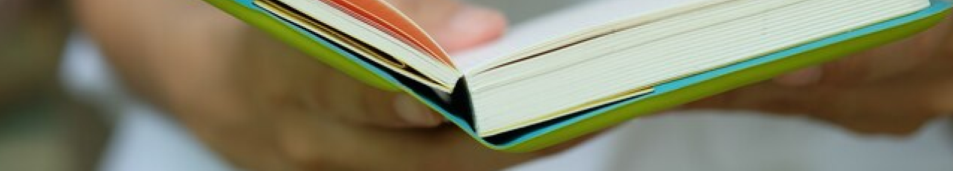 Guideline 04-banner